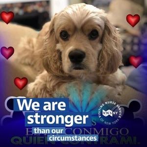 Meet your Posher, Imelda